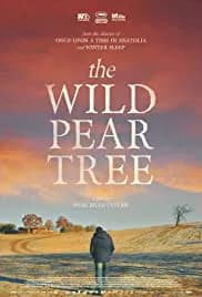 The Wild Pear Tree (2018)