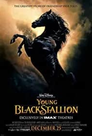 The Young Black Stallion 2003