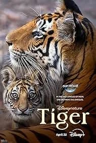 Tiger 2024