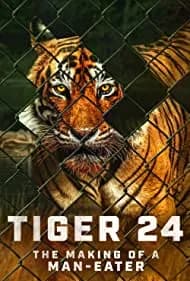 Tiger 24 2023