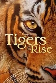Tigers on the Rise 2024