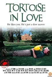 Tortoise in Love 2012
