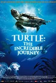 Turtle: The Incredible Journey 2009