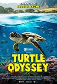 Turtle Odyssey 2019