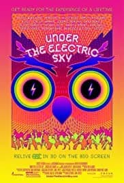 Under the Electric Sky 2014