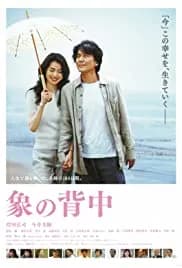 Walking My Life 2007