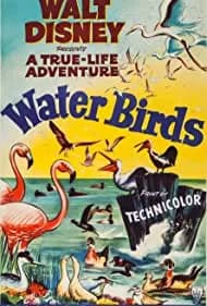 Water Birds (1952)
