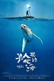 Whale Island 2020