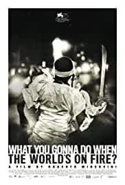 What You Gonna Do When the World's on Fire? 2018