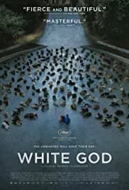 White God (2014)