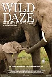 Wild Daze 2020
