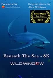 Wild Window: Beneath the Sea 2018