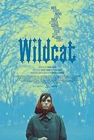 Wildcat 2024