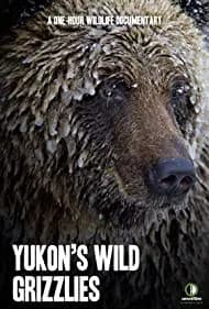 Yukon's Wild Grizzlies 2021
