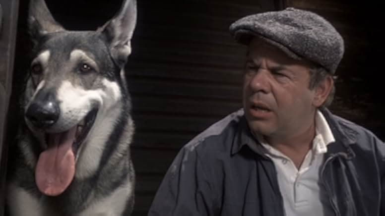 The Billion Dollar Hobo 1977