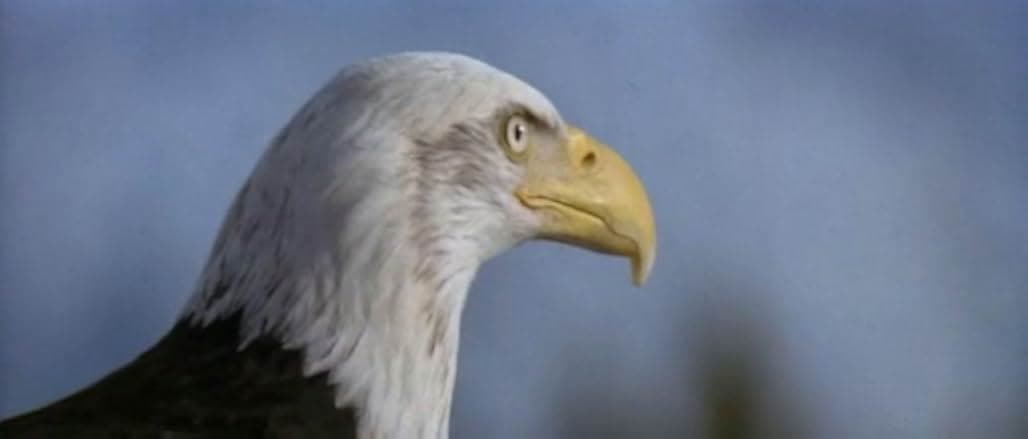 On Deadly Ground 1994