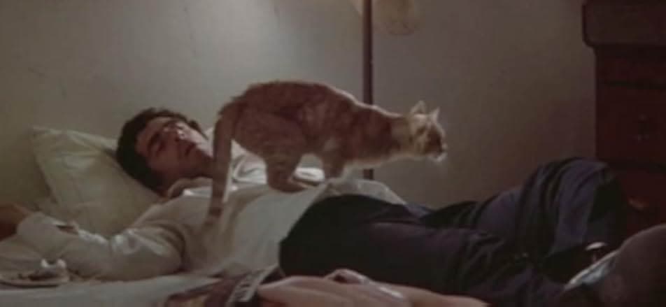 The Long Goodbye 1973