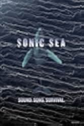 Sonic Sea 2016