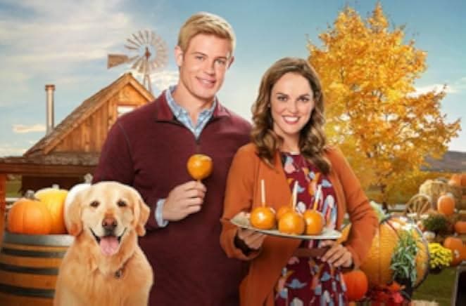 Love, Fall & Order 2019