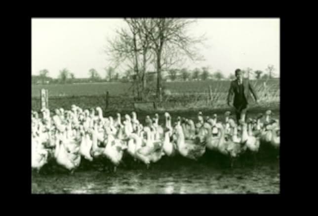 Singleton's Pluck 1984