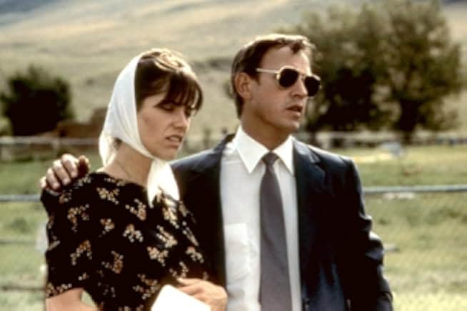The Stone Boy 1984