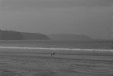 Early Summer 1951