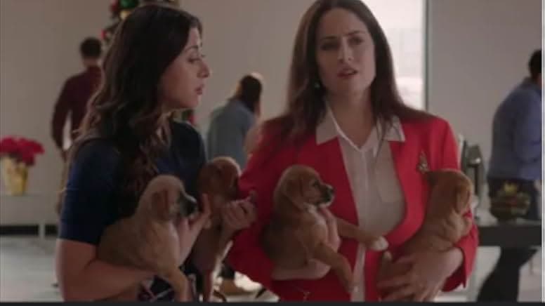 12 Pups of Christmas 2019