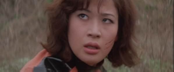 Stray Cat Rock: Delinquent Girl Boss 1970