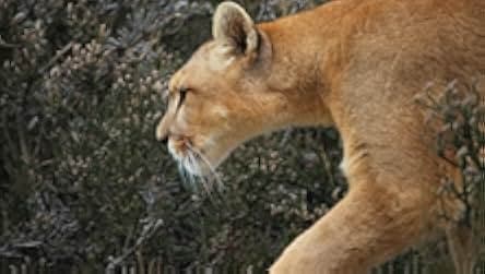 Seven Worlds One Planet