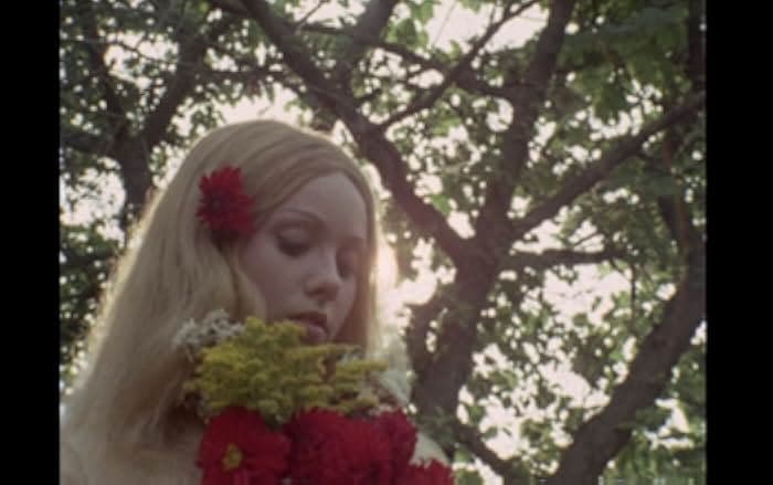 Woodlands Dark and Days Bewitched: A History of Folk Horror 2021