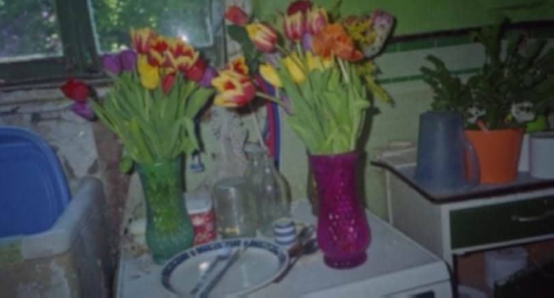 Portrait of Kaye 2021