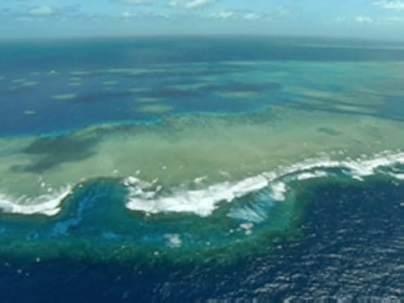 Great Barrier Reef 2012