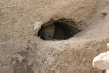 Saving Mes Aynak 2014