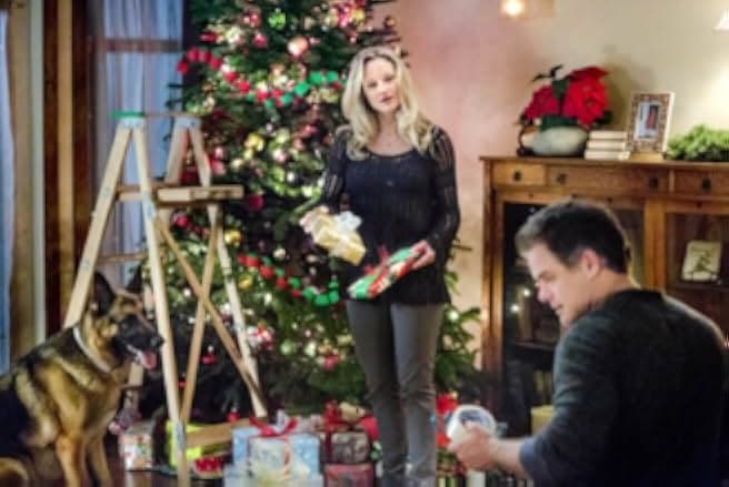 The Christmas Shepherd 2014