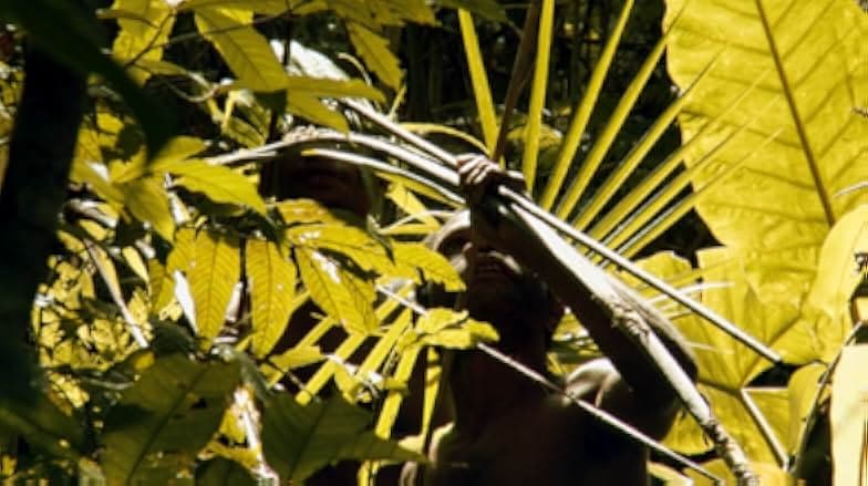 Into the Jungle 2018