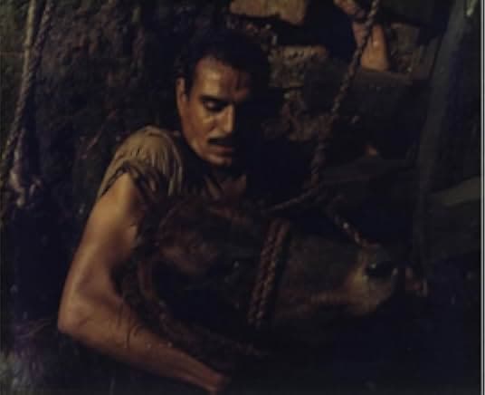 The Land 1970