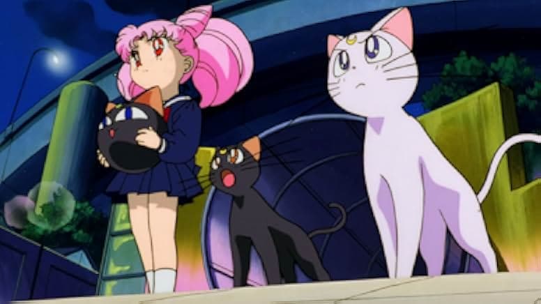 Sailor Moon R: The Movie: The Promise of the Rose 1993