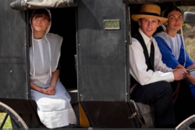 Expecting Amish 2014