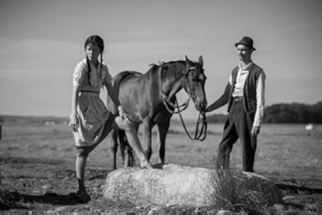 Moromete Family: On the Edge of Time 2018