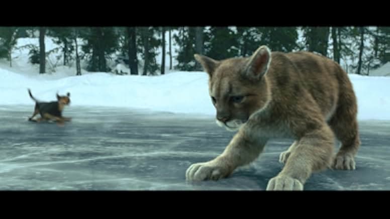 A Dog's Way Home 2019