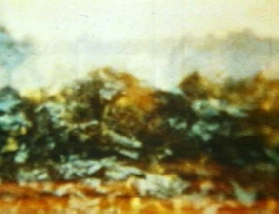 In the Shadow of the Sun 1981