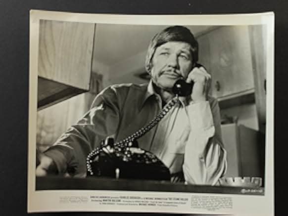 The Stone Killer 1973