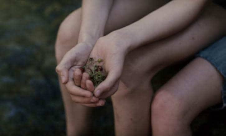 I Was at Home, But... 2019