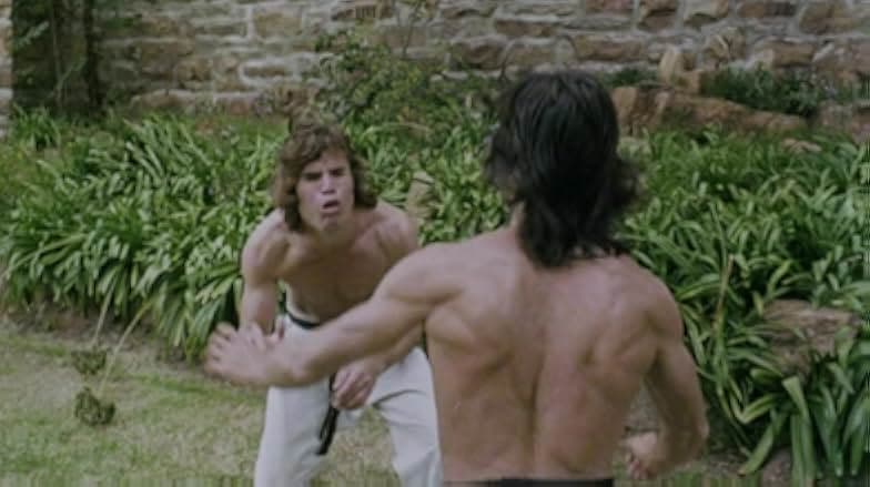 Karate Killer 1976