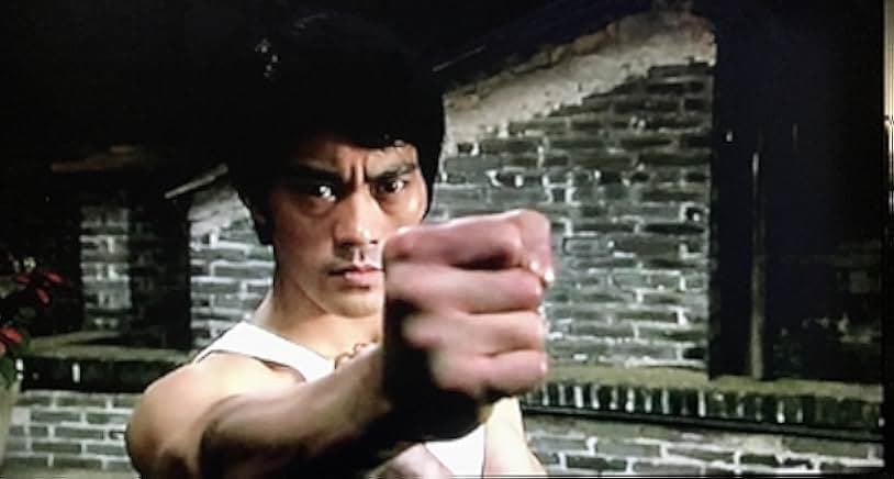 Li Xiao Long chuan qi 2008–