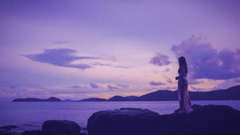 Voyage Into the Night 2021