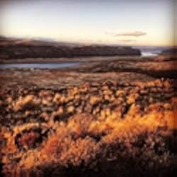 East of the Mountains 2021