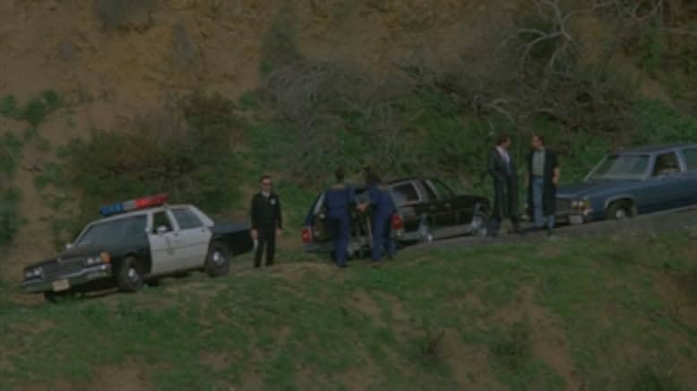 Martial Law II: Undercover 1991