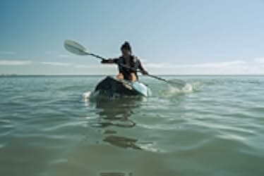 The Reef: Stalked 2022