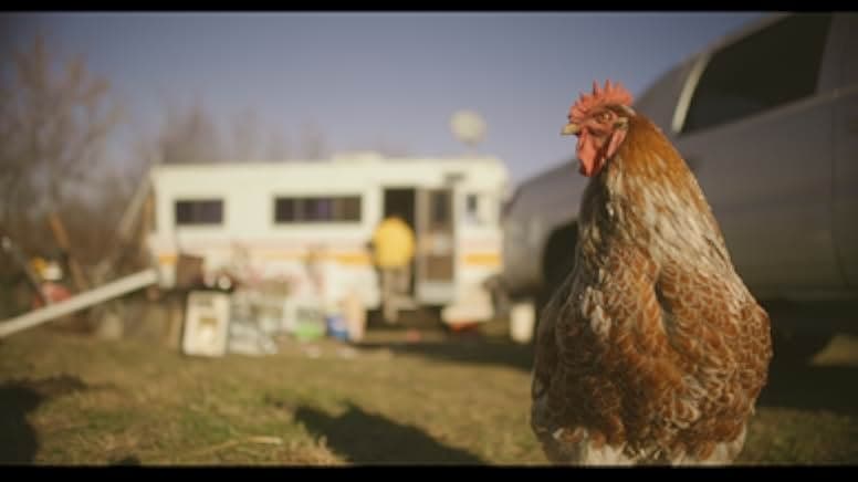 Best Years Gone 2021